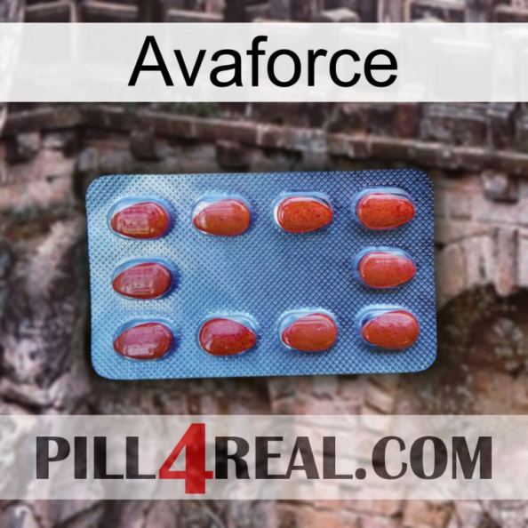 Avaforce 06